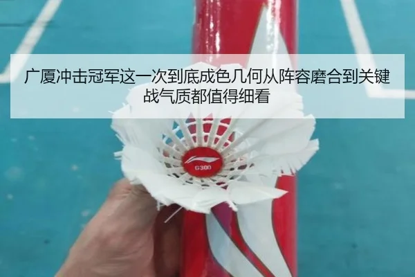 广厦冲击冠军这一次到底成色几何从阵容磨合到关键战气质都值得细看